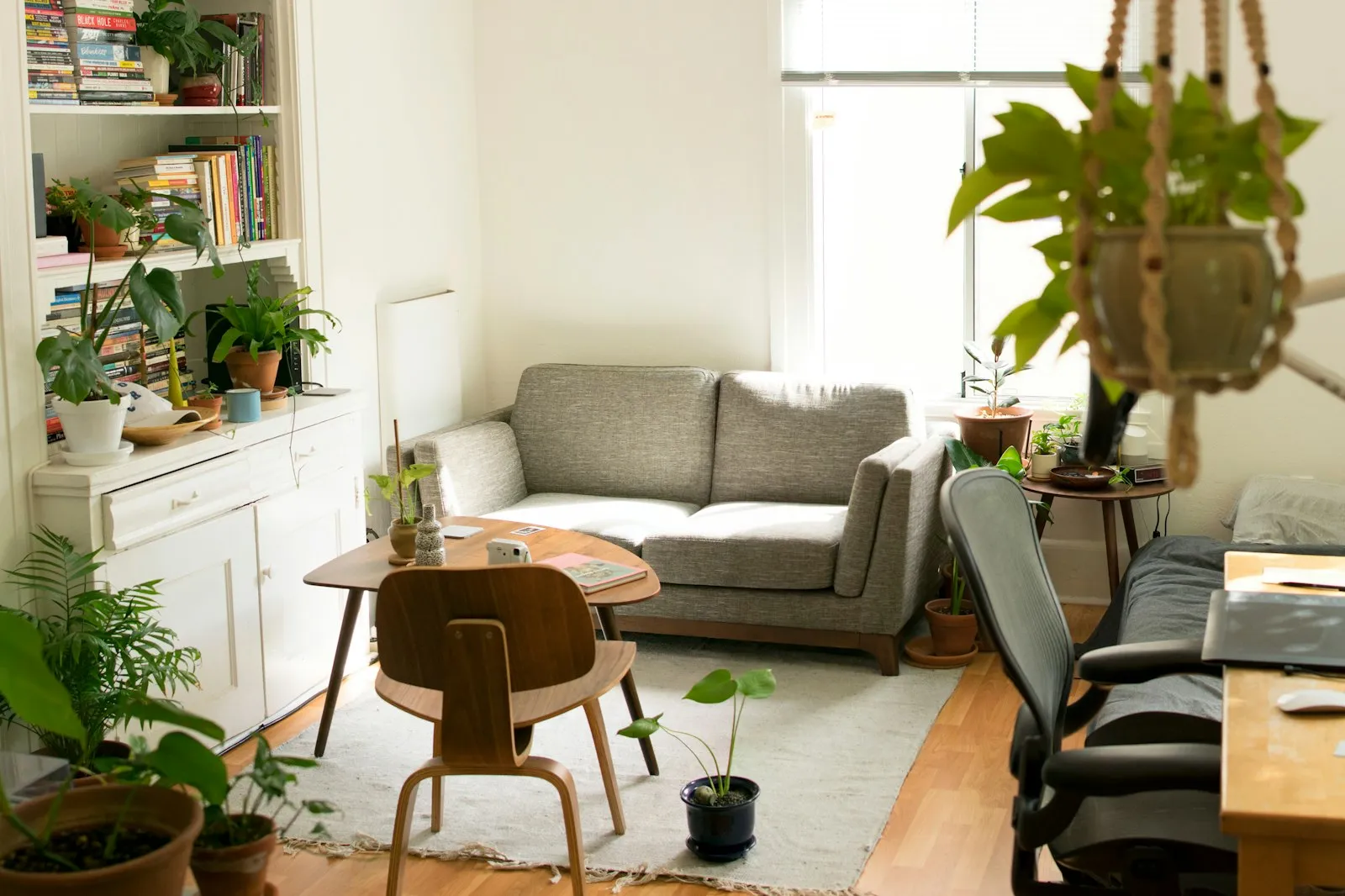 Cozy, tidy living room with bookshelves, plants and a grey sofa, from the Alaikas.com home living guide